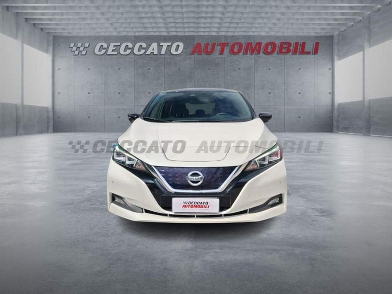 Nissan Nissan Leaf usata 15