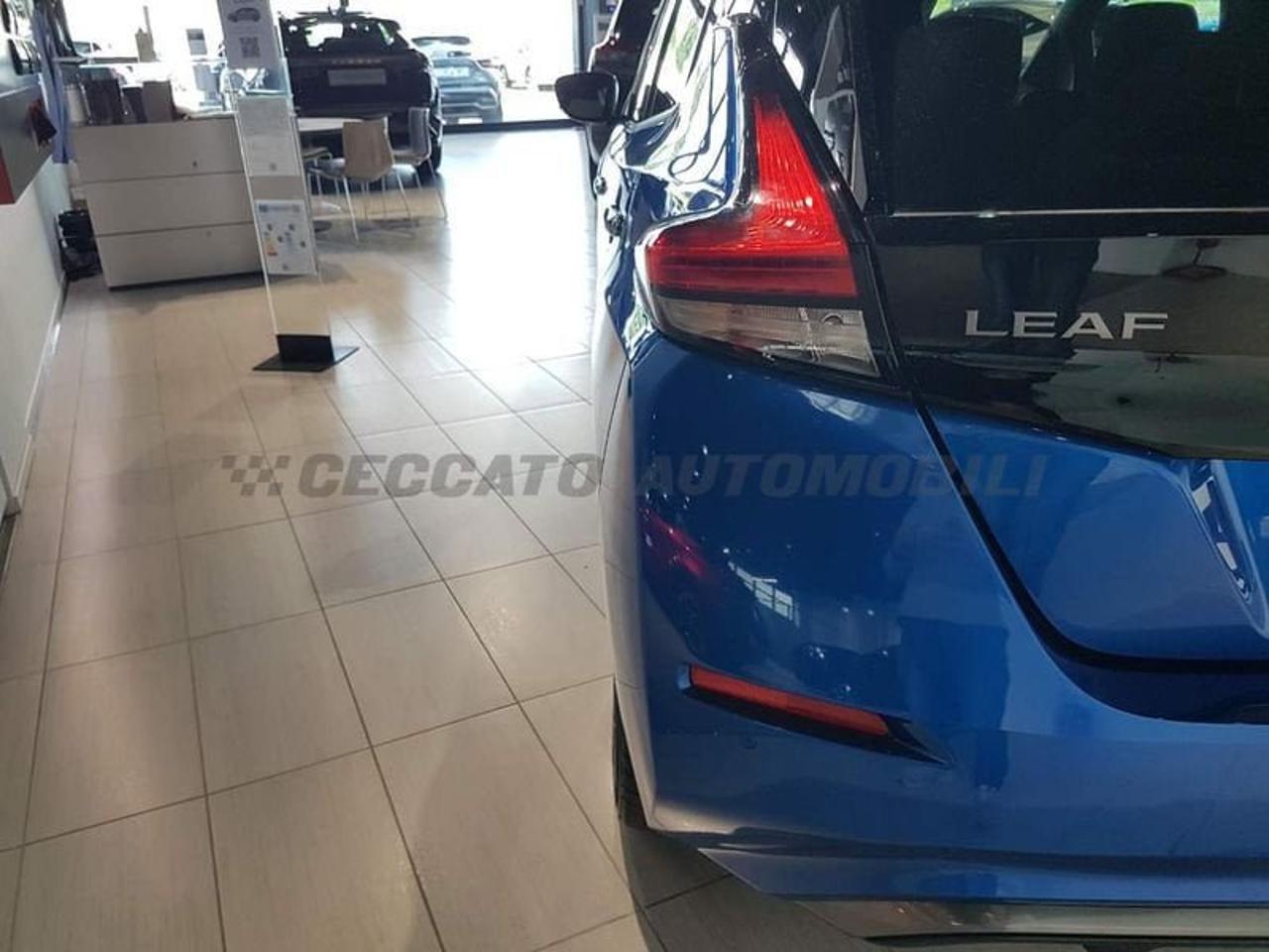 Nissan Nissan Leaf usata 10