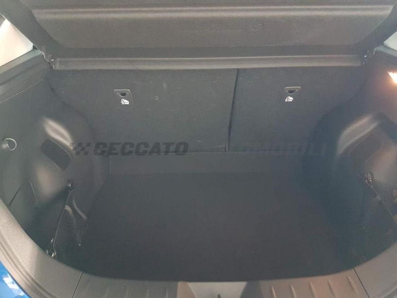 Nissan Nissan Leaf usata 15