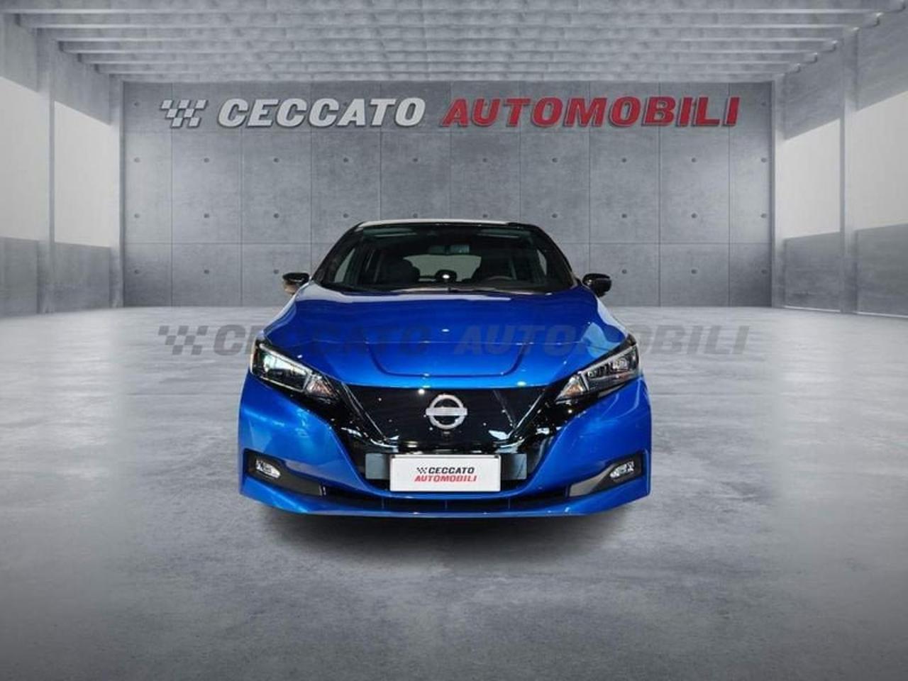 Nissan Nissan Leaf usata 16