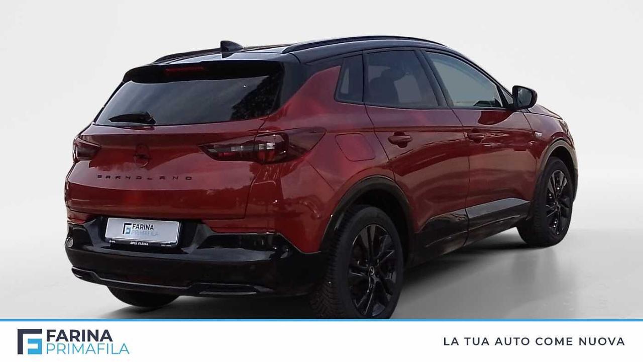 Opel Opel Grandland usata, con vetri oscurati