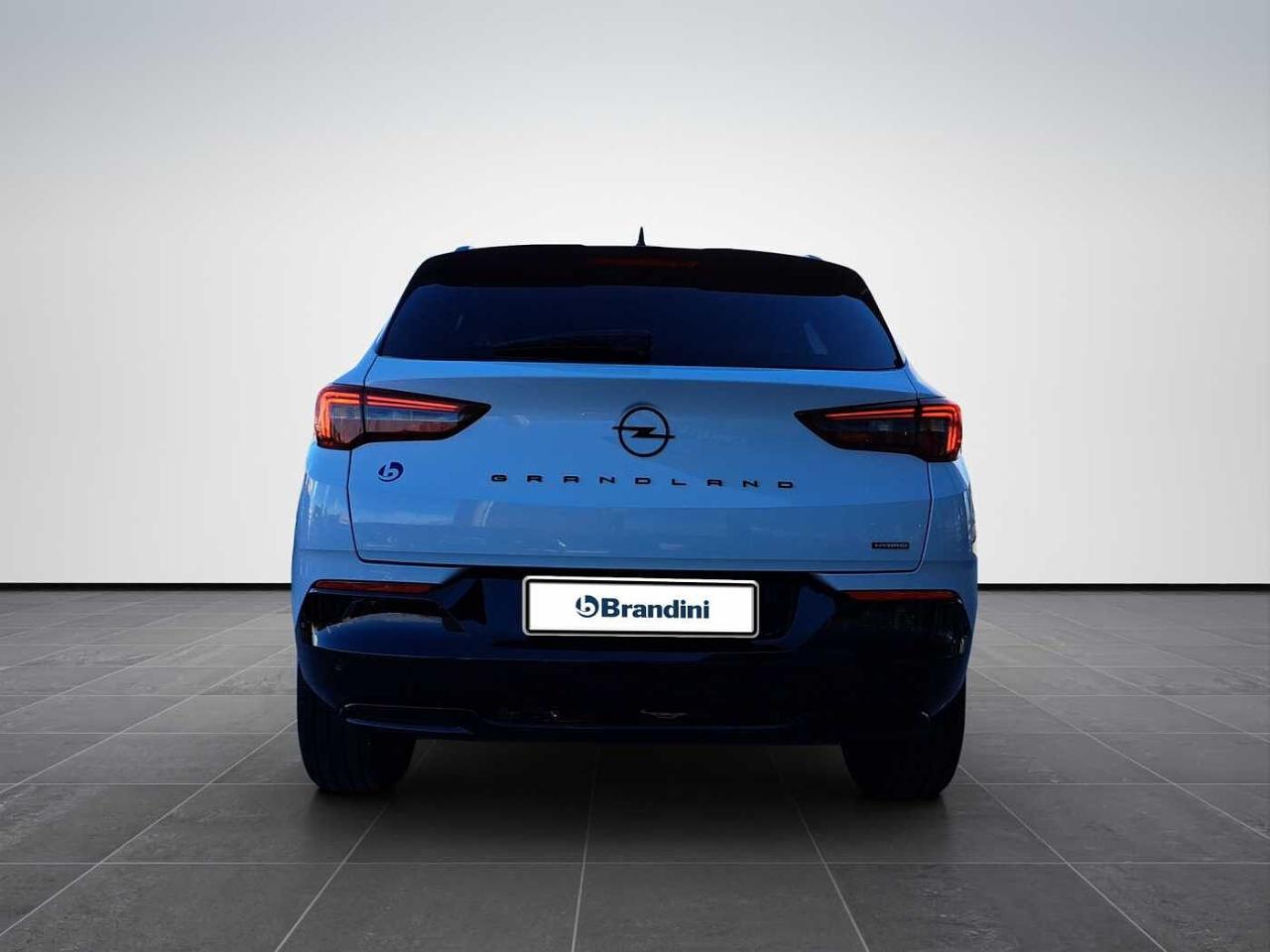 Opel Opel Grandland usata 17