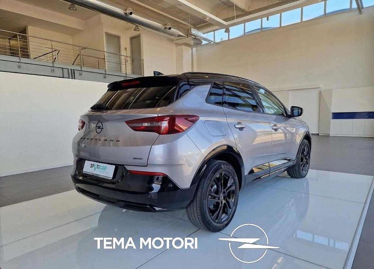 Opel Opel Grandland usata 19