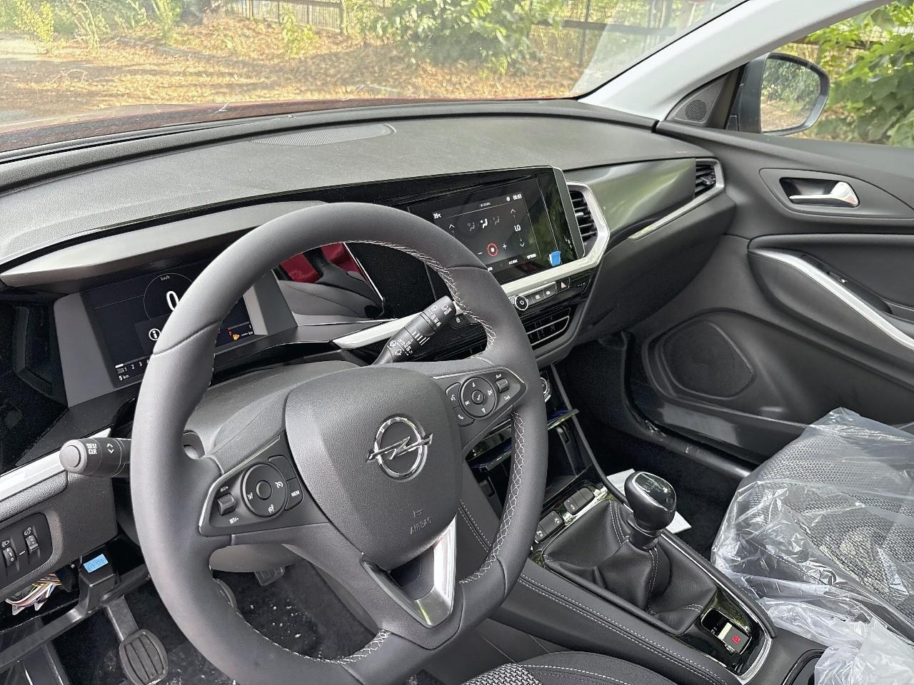 Opel Opel Grandland usata 19
