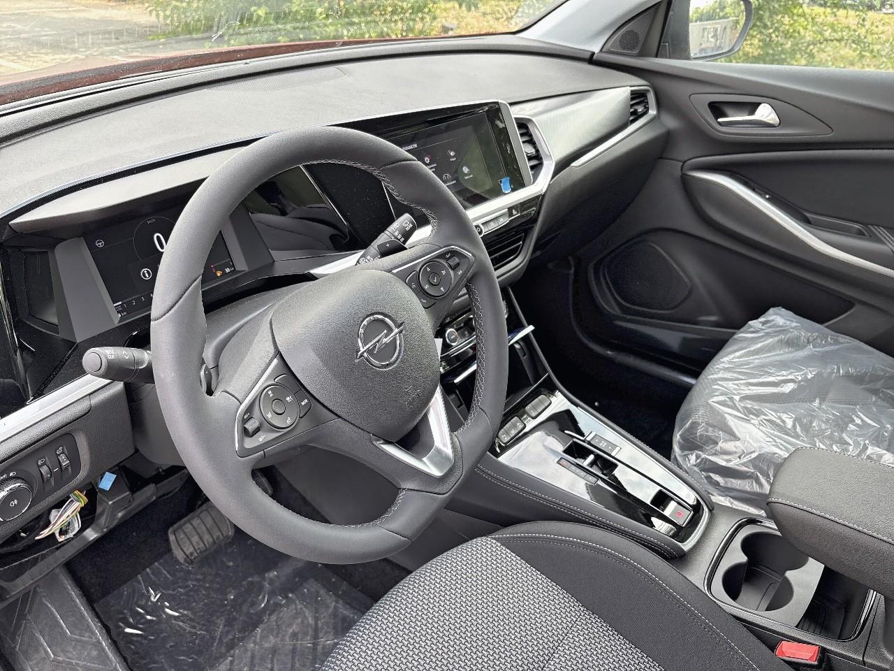 Opel Opel Grandland usata 19