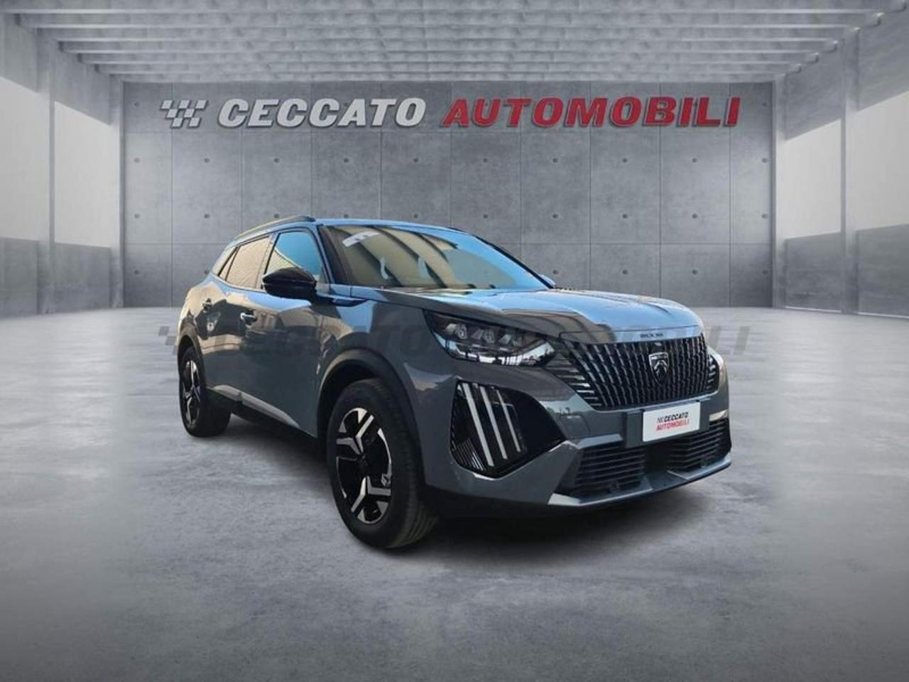 Peugeot Peugeot 2008 usata 7