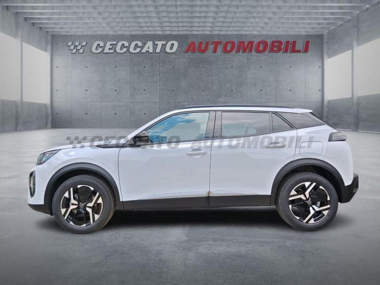 Peugeot Peugeot 2008 usata 11