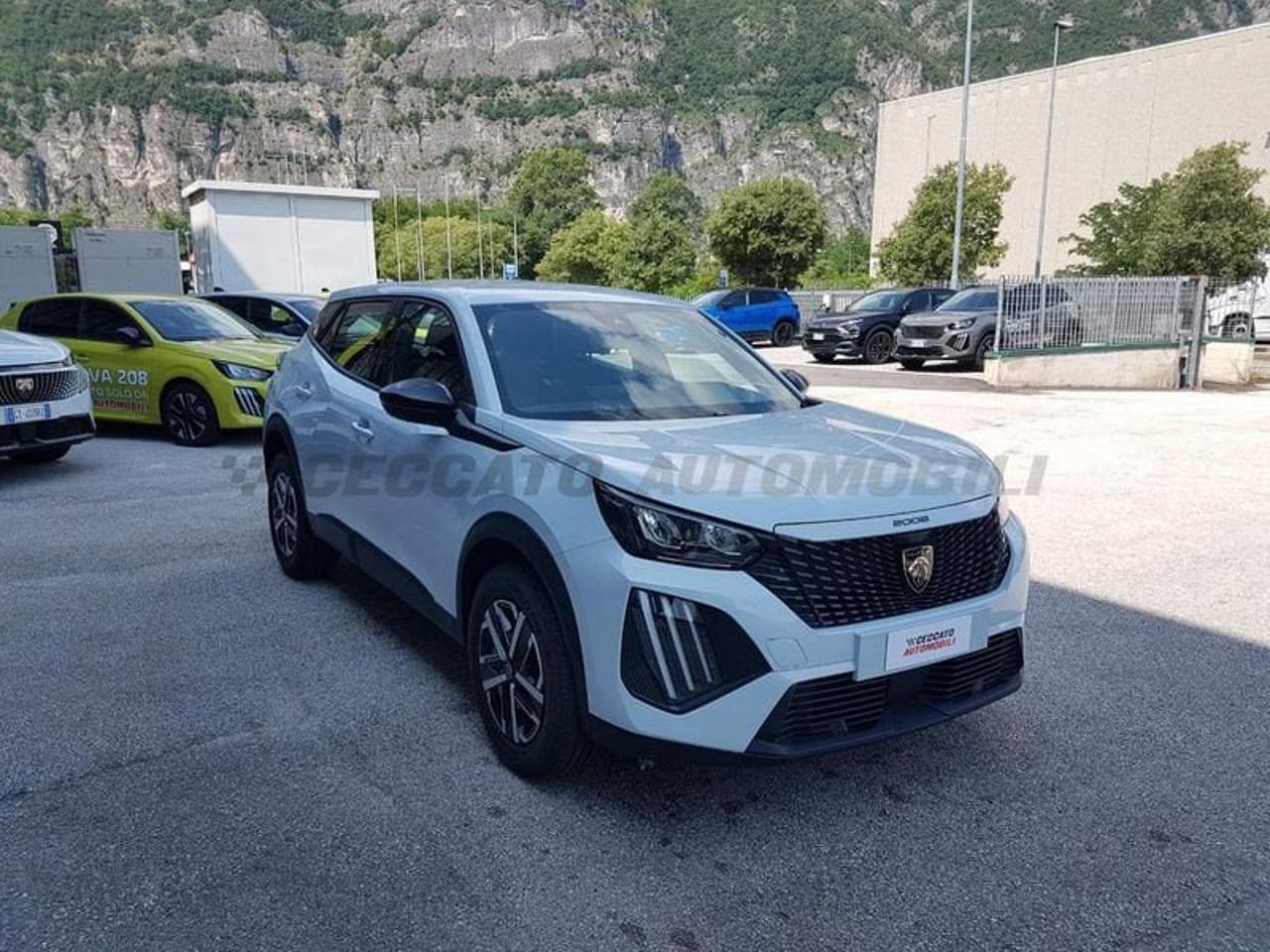 Peugeot Peugeot 2008 usata 17