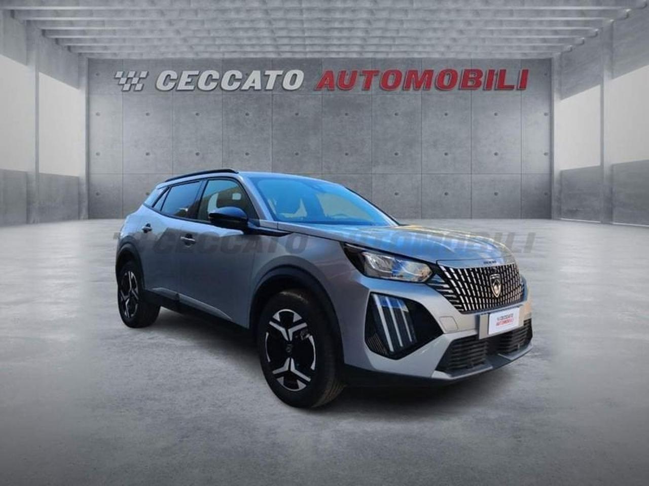 Peugeot Peugeot 2008 usata 7