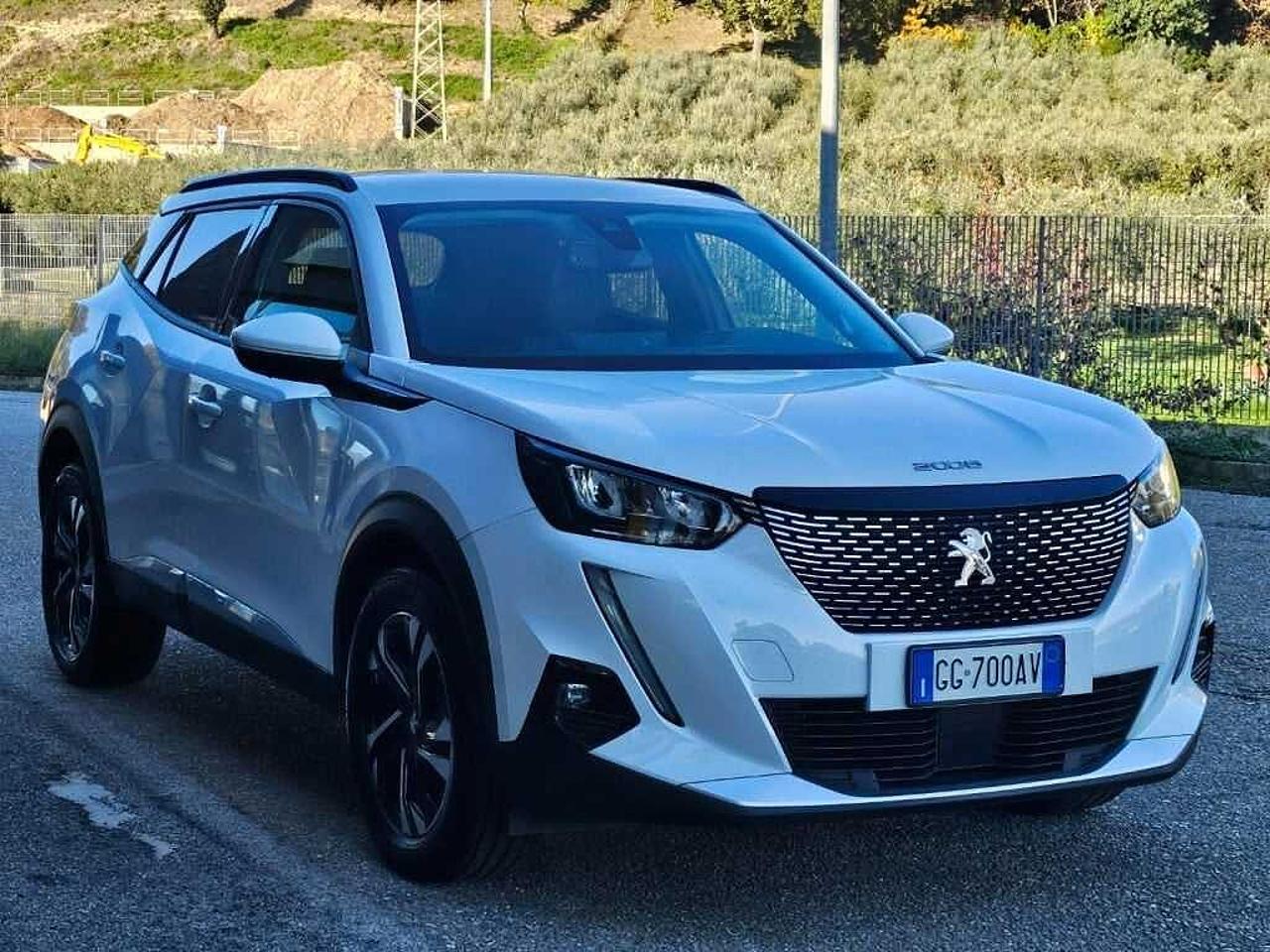 Peugeot Peugeot 2008 usata 21