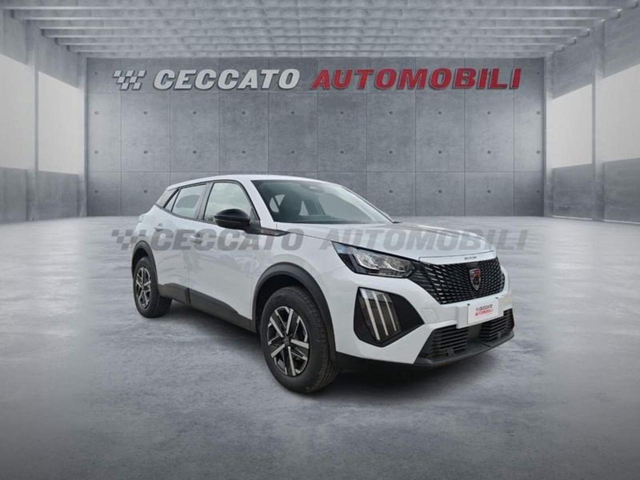 Peugeot Peugeot 2008 usata 6