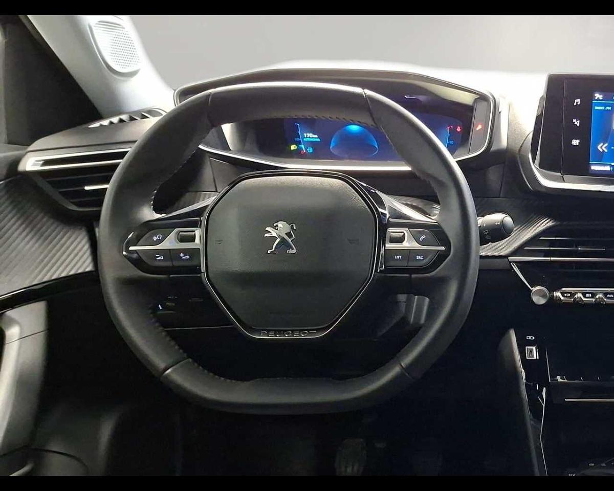 Peugeot Peugeot 2008 usata, con Vetri Oscurati
