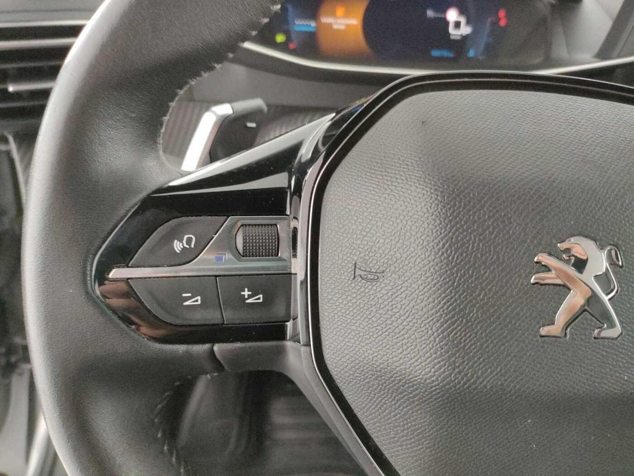 Peugeot Peugeot 2008 usata 14