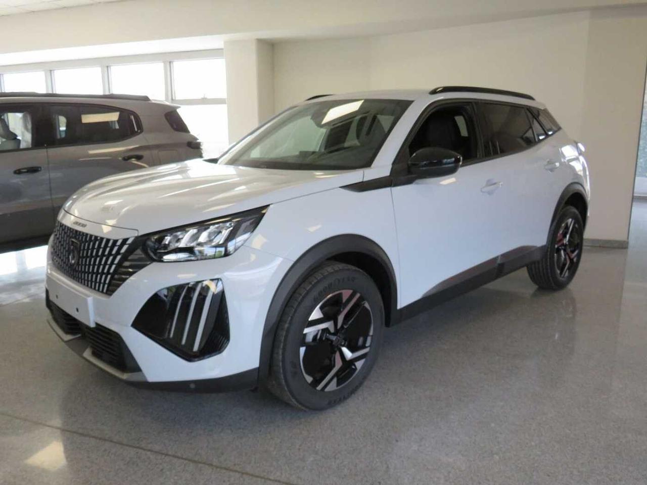 Peugeot Peugeot 2008 usata 11
