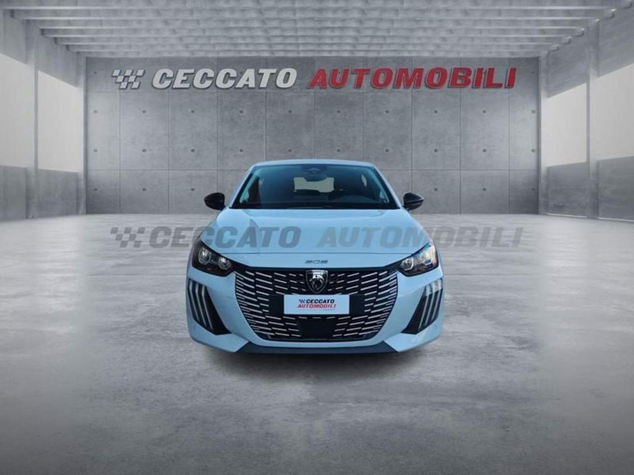 Peugeot Peugeot 208 usata 19