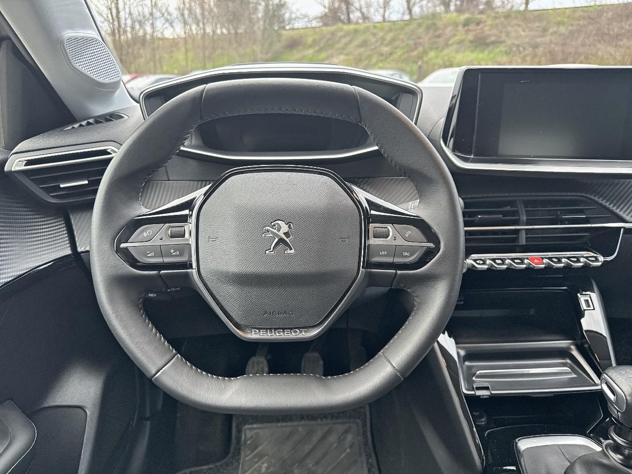 Peugeot Peugeot 208 usata, con Vetri Oscurati