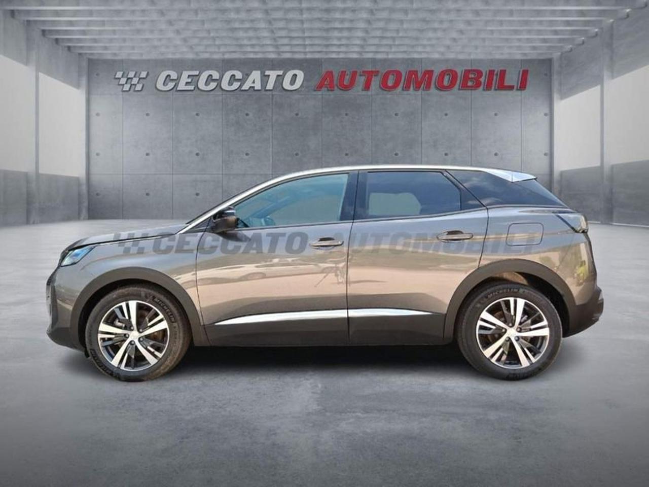 Peugeot Peugeot 3008 usata 11