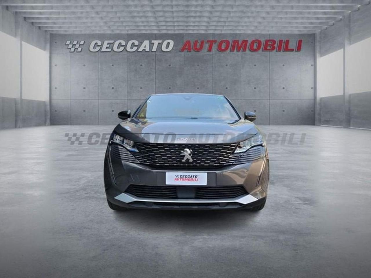 Peugeot Peugeot 3008 usata 18