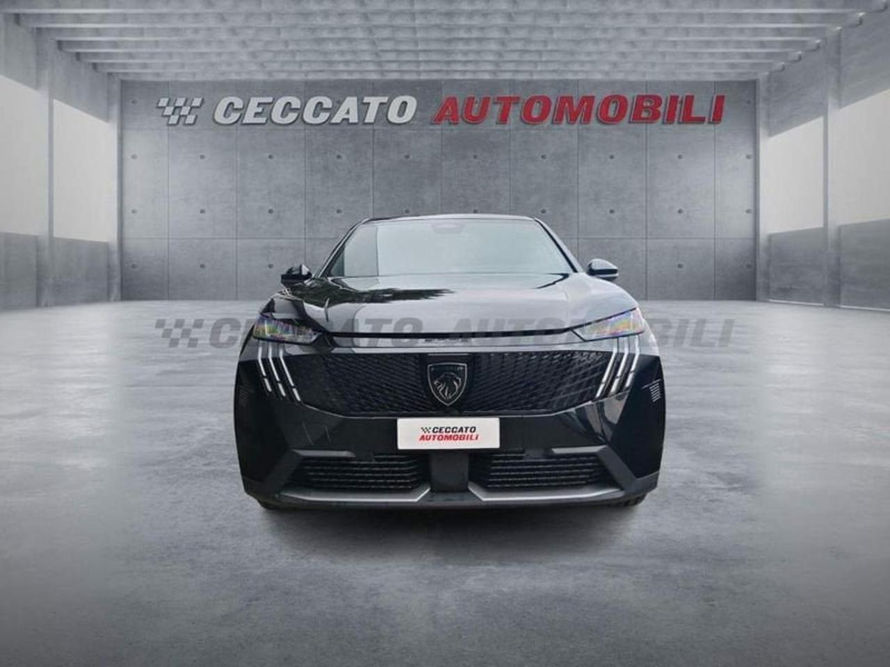 Peugeot Peugeot 3008 usata 19