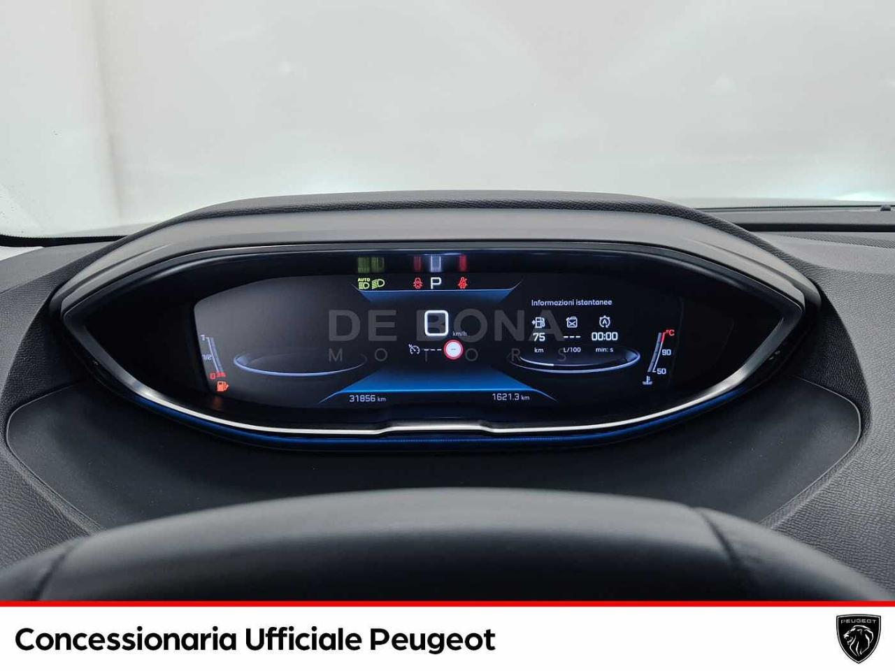 Peugeot Peugeot 3008 usata, con 5 porte