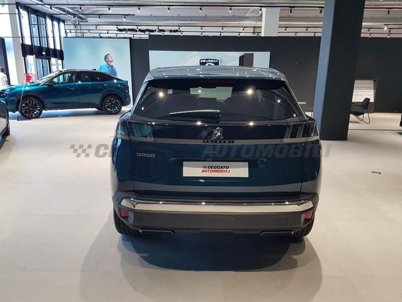 Peugeot Peugeot 3008 usata 18