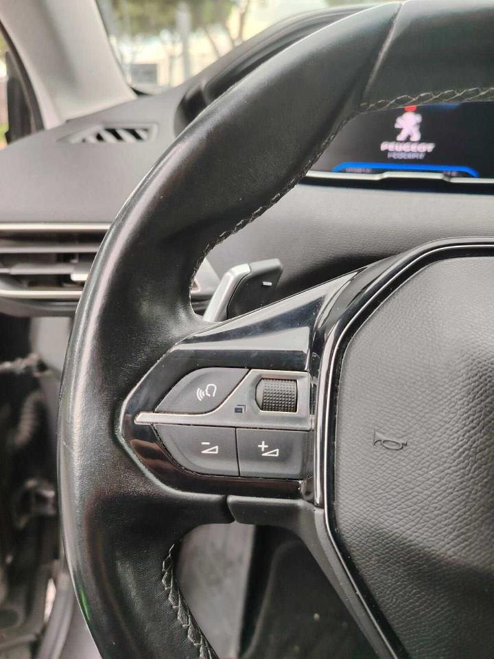 Peugeot Peugeot 3008 usata 15