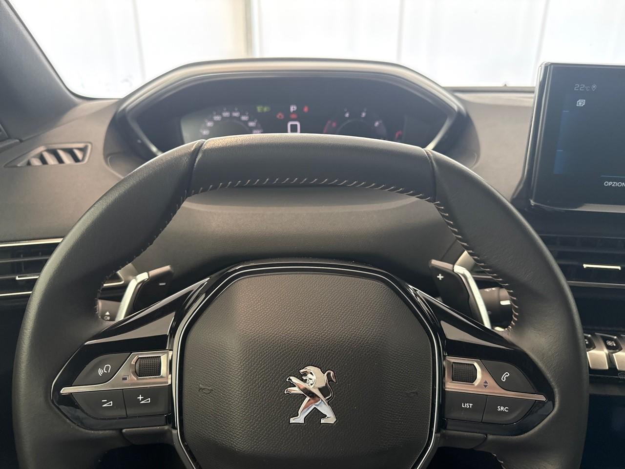 Peugeot Peugeot 3008 usata 6