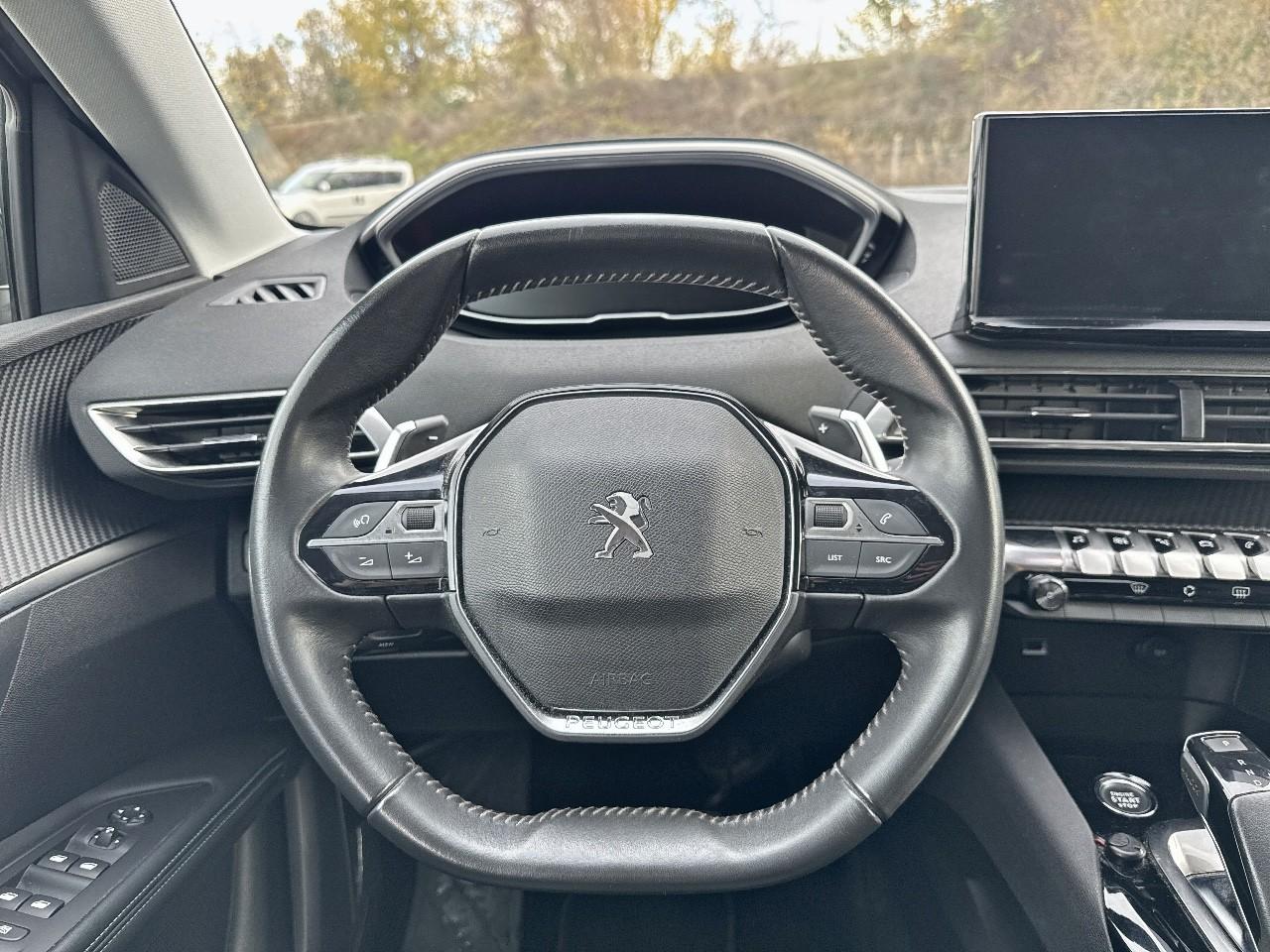 Peugeot Peugeot 3008 usata, con Mirror Screen