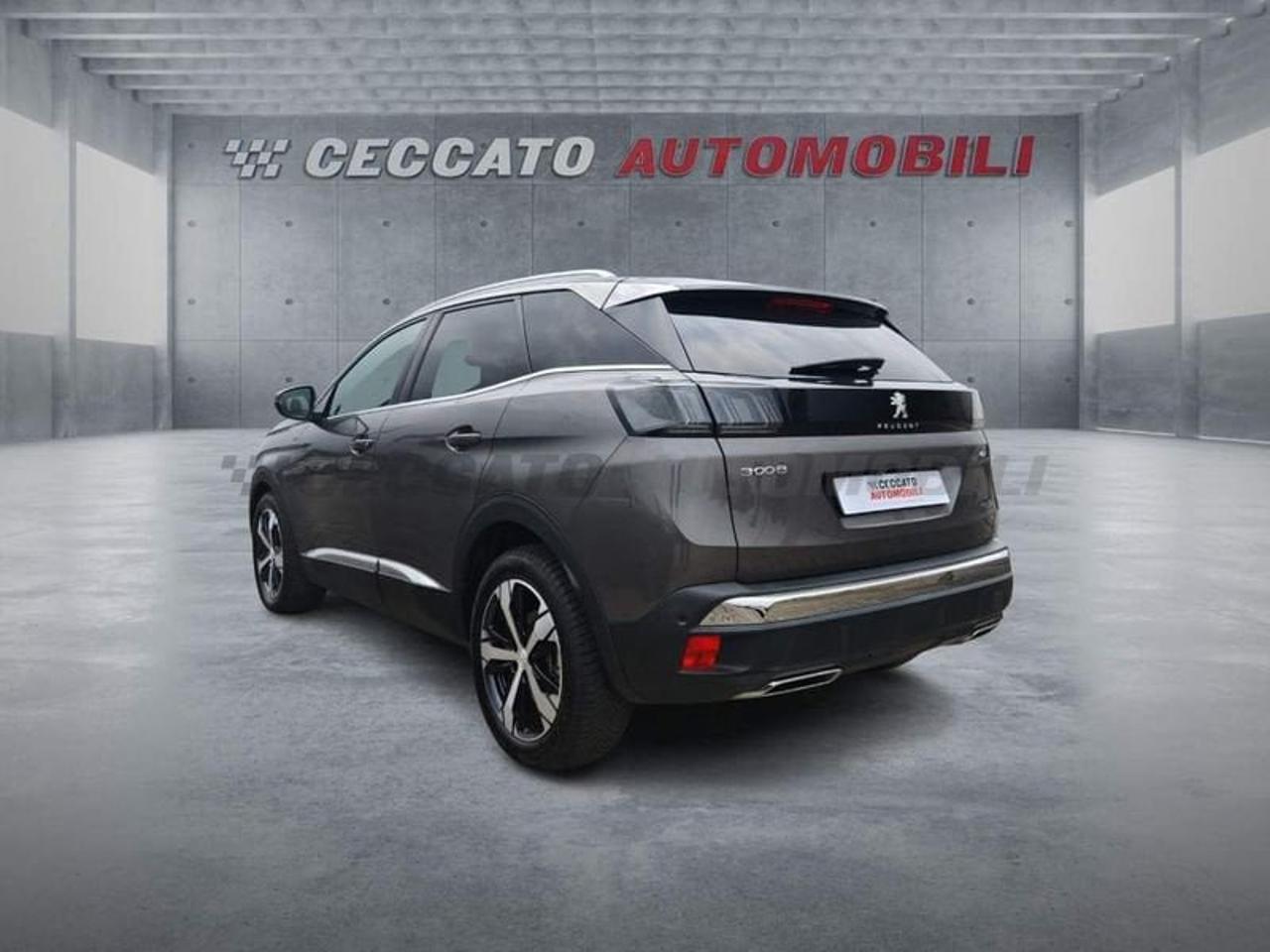 Peugeot Peugeot 3008 usata 19