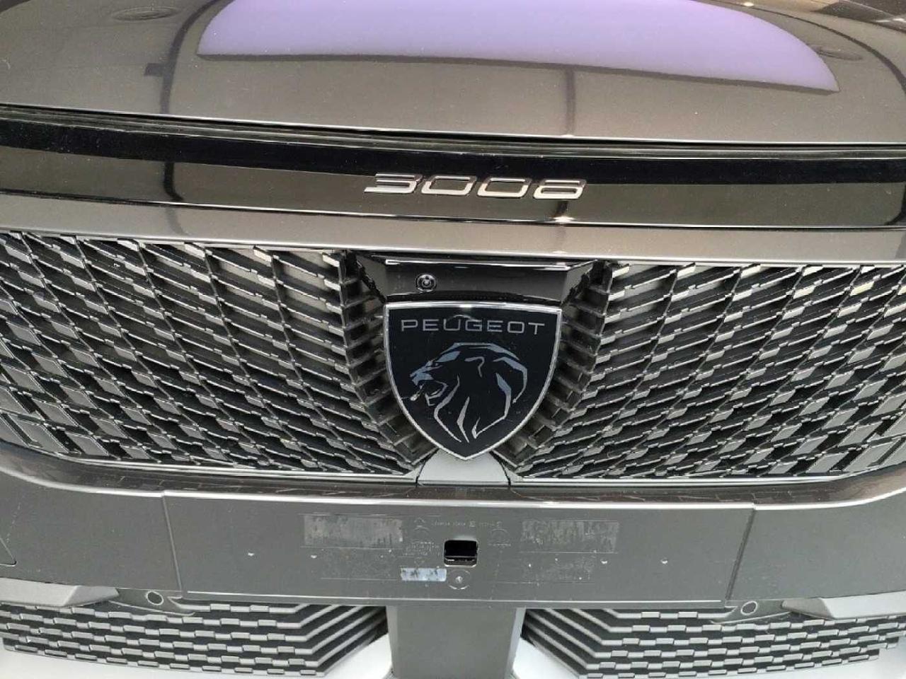 Peugeot Peugeot 3008 usata 3