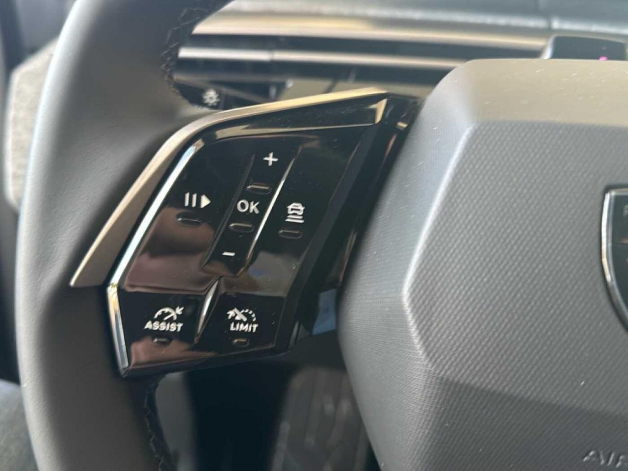 Peugeot Peugeot 3008 usata 13