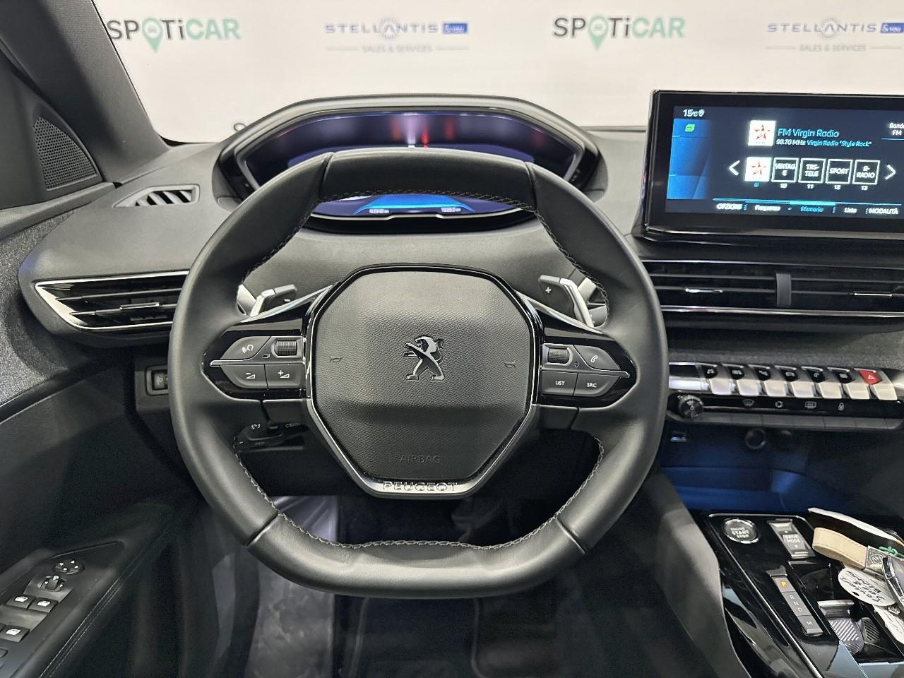 Peugeot Peugeot 3008 usata, con Mirror Screen