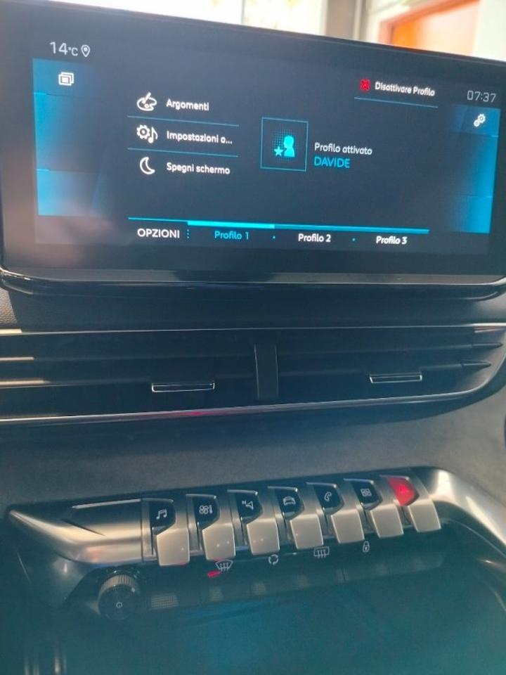 Peugeot Peugeot 3008 usata 13