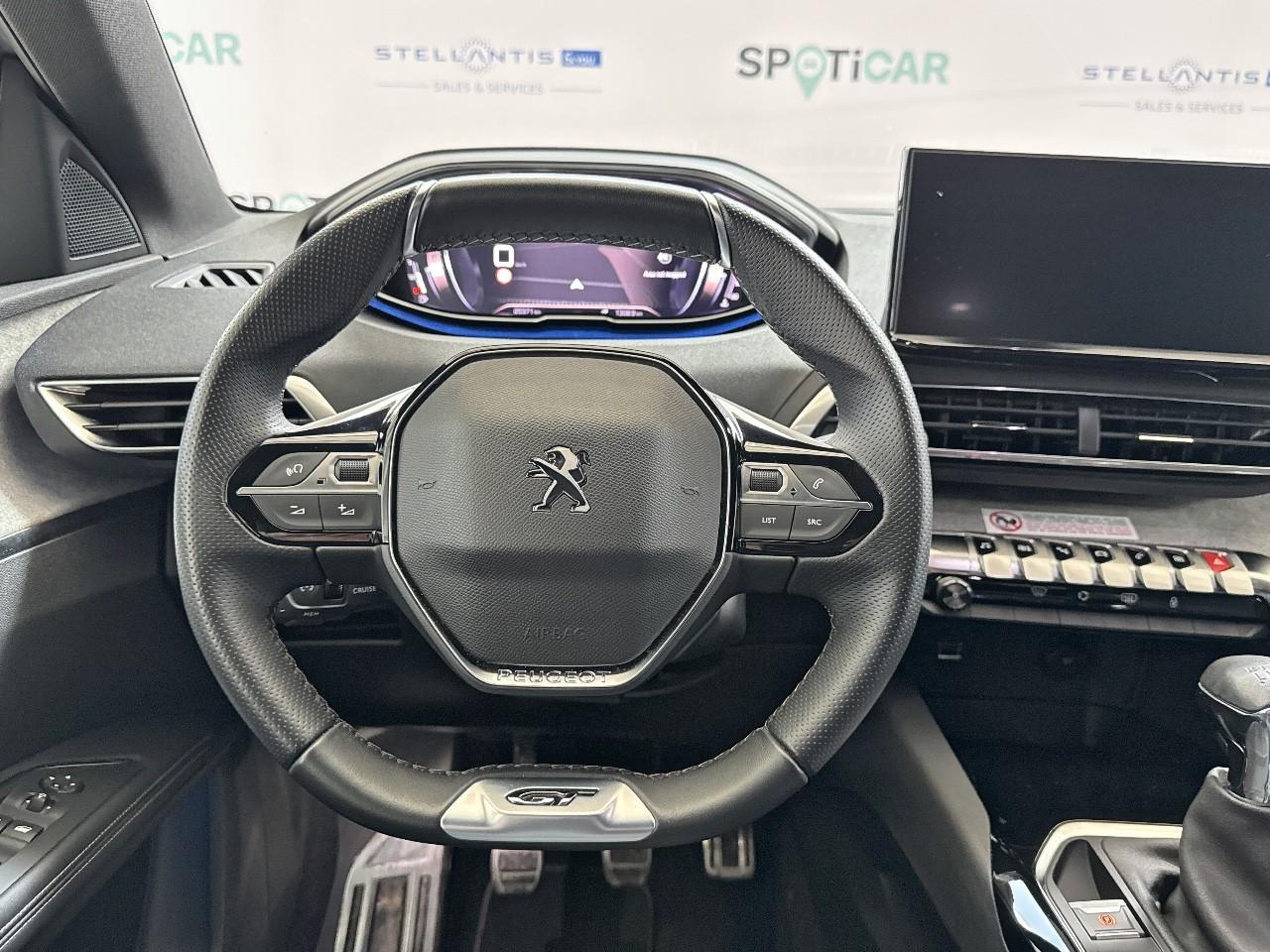 Peugeot Peugeot 3008 usata, con Mirror Screen