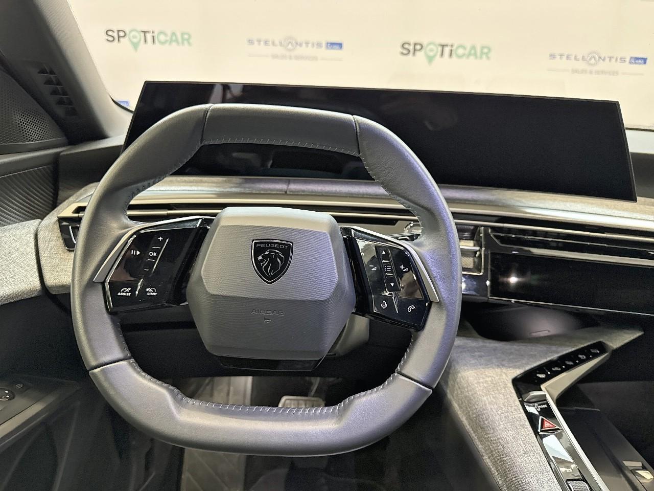Peugeot Peugeot 3008 usata, con Vetri Oscurati