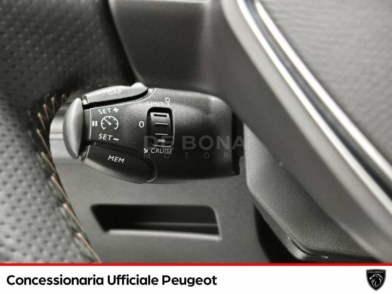 Peugeot Peugeot 3008 usata 14