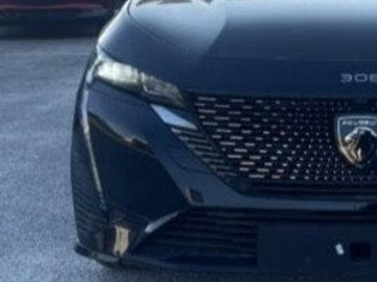 Peugeot Peugeot 308 usata 14