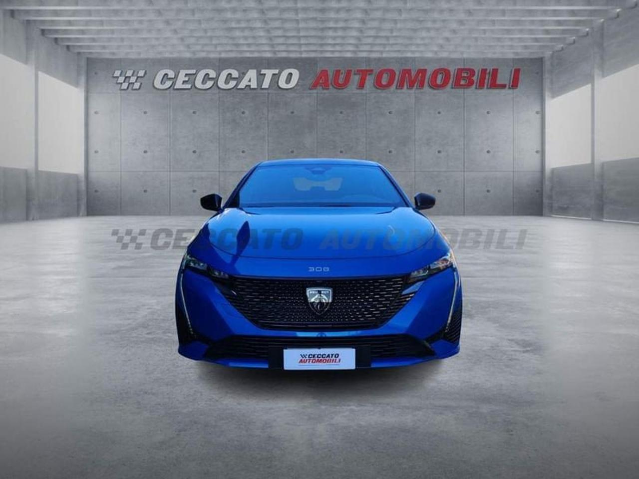 Peugeot Peugeot 308 usata 19