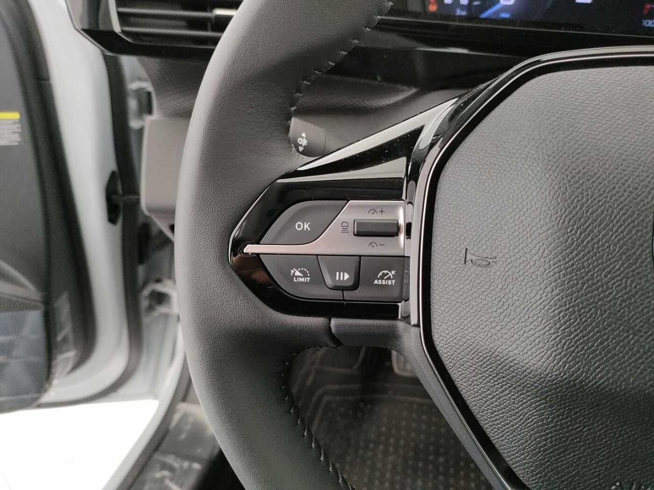 Peugeot Peugeot 308 usata, con Vetri Oscurati