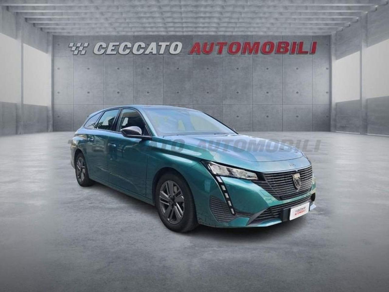 Peugeot Peugeot 308 usata, con Portapacchi