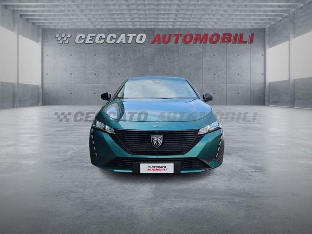 Peugeot Peugeot 308 usata 18