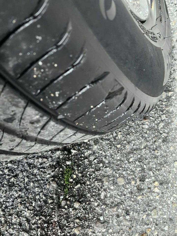 Peugeot Peugeot 308 usata 12