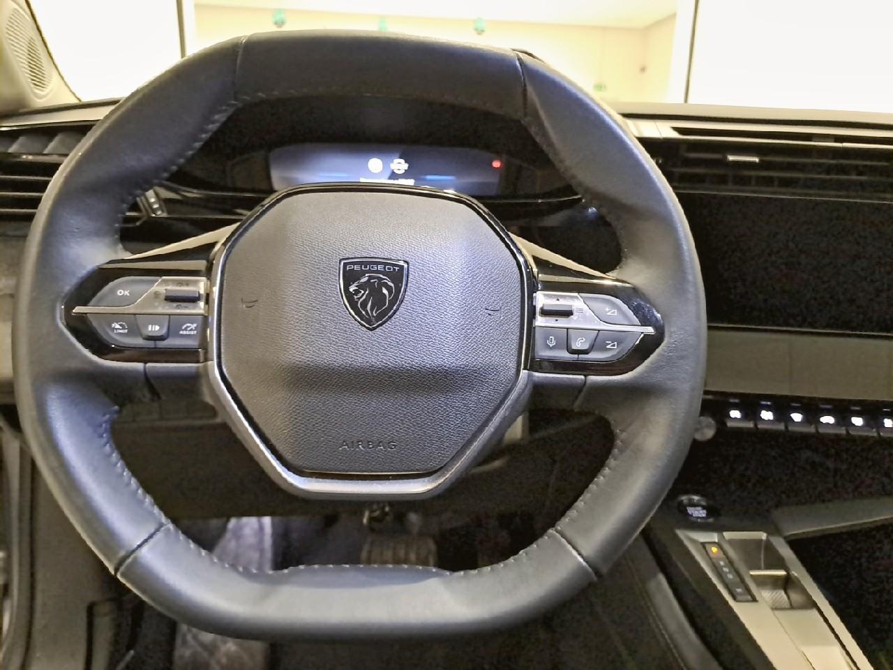 Peugeot Peugeot 308 usata, con Vetri Oscurati