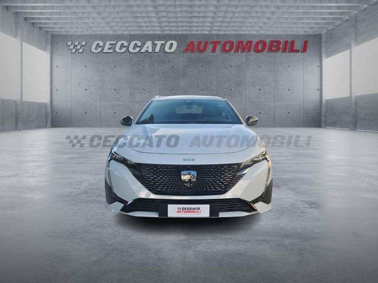 Peugeot Peugeot 308 usata 18