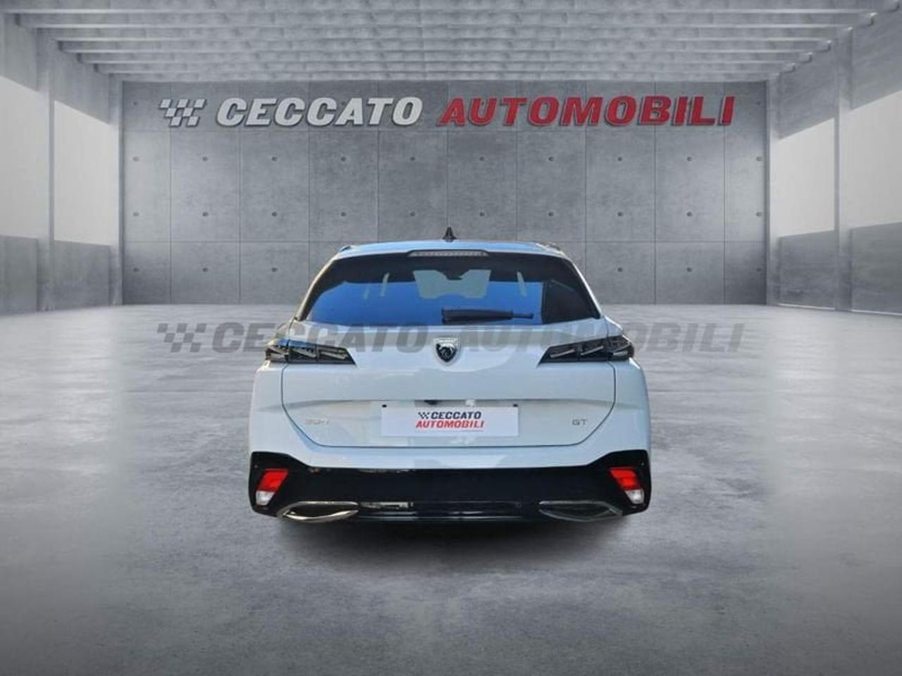 Peugeot Peugeot 308 usata 19