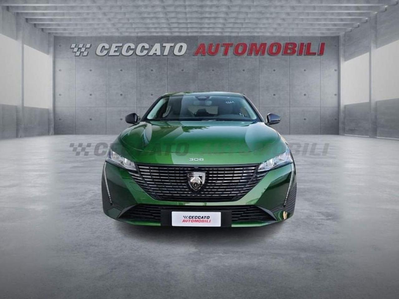Peugeot Peugeot 308 usata 18