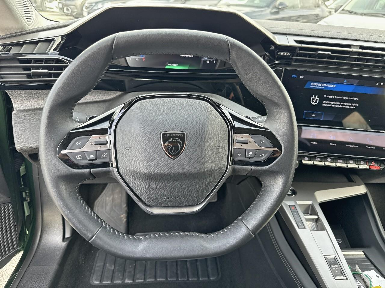 Peugeot Peugeot 308 usata, con Mirror Screen