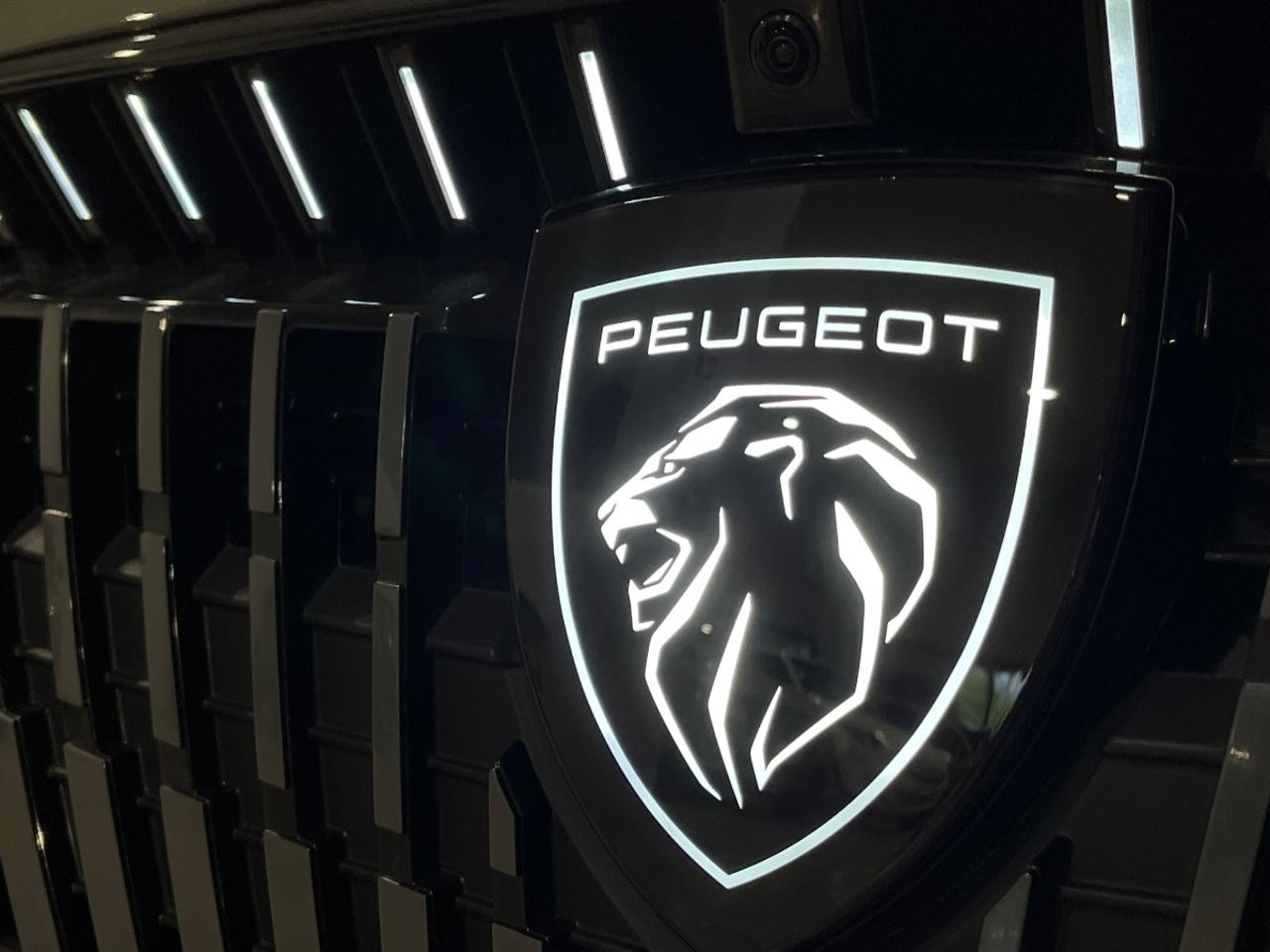Peugeot Peugeot 308 usata 8