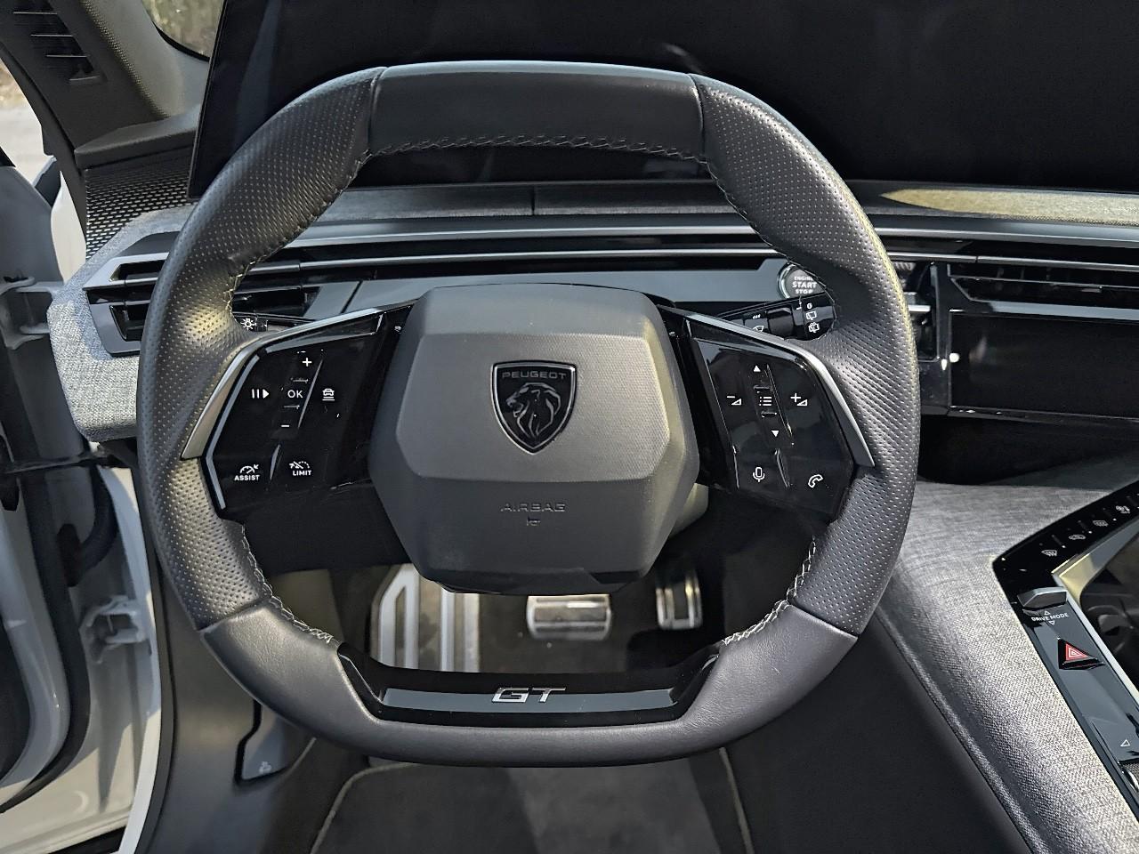 Peugeot Peugeot 5008 usata, con Mirror Screen