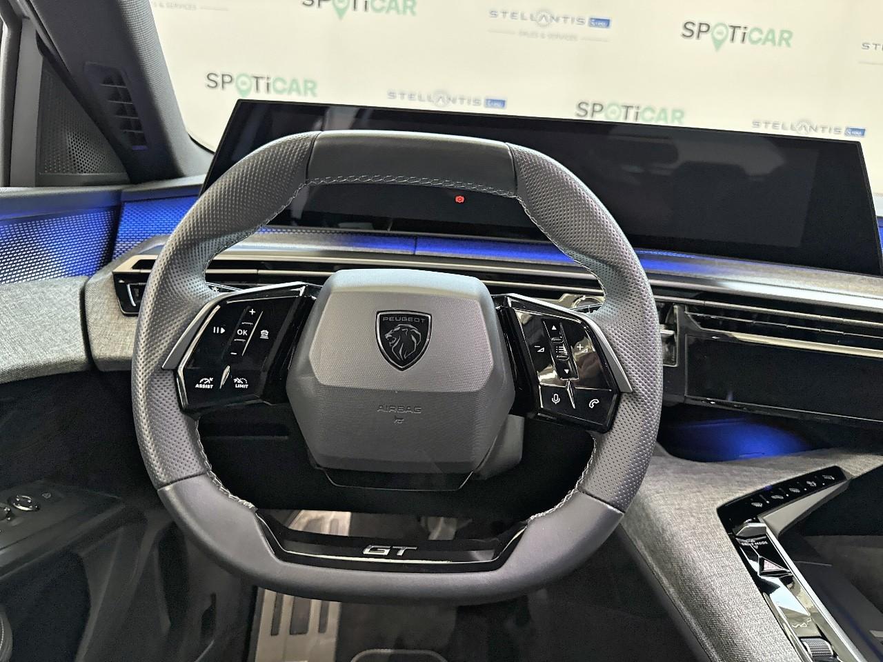 Peugeot Peugeot 5008 usata, con Mirror Screen